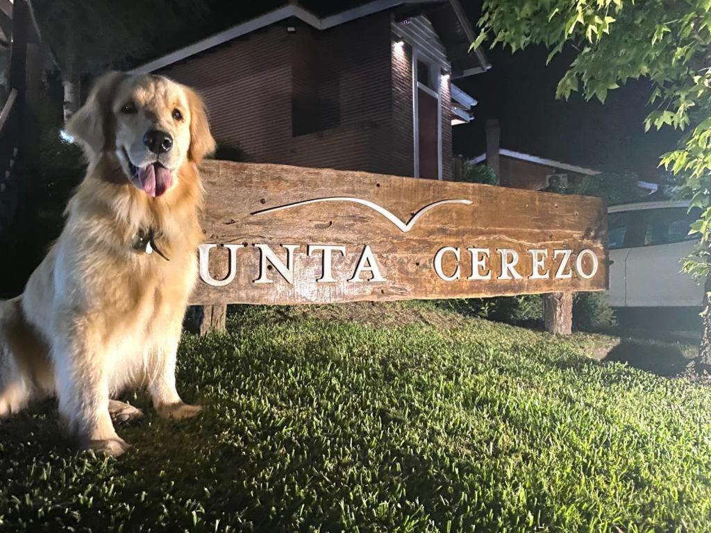 Punta Cerezo Apart Карило Екстериор снимка